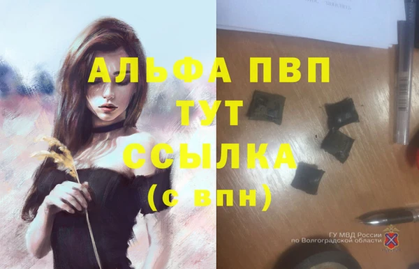 СК Абдулино