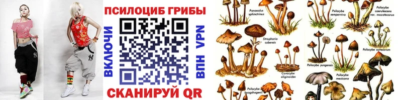 Псилоцибиновые грибы GOLDEN TEACHER Плавск