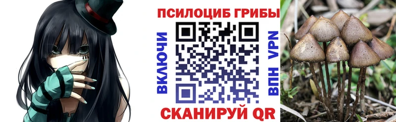 Галлюциногенные грибы Psilocybine cubensis  OMG вход  Плавск 